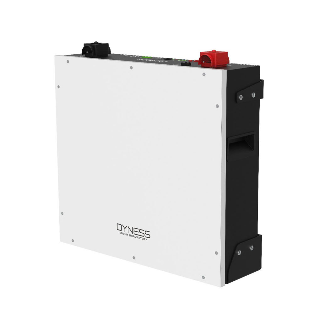 Pin lưu trữ Dyness